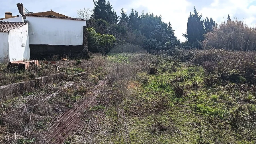 Terreno para Venda em Ribafria e Pereiro de Palhacana Foto 14