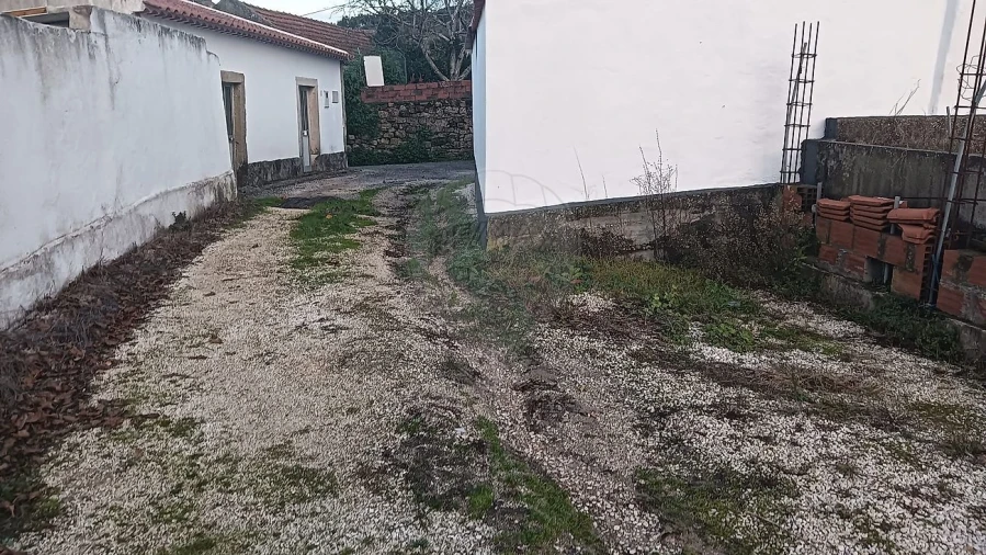 Terreno para Venda em Ribafria e Pereiro de Palhacana Foto 7