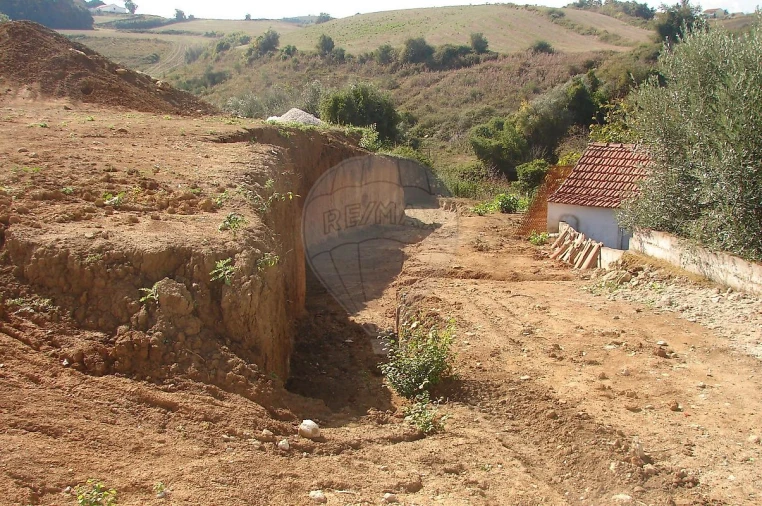 Terreno para Venda em Ribafria e Pereiro de Palhacana Foto 3