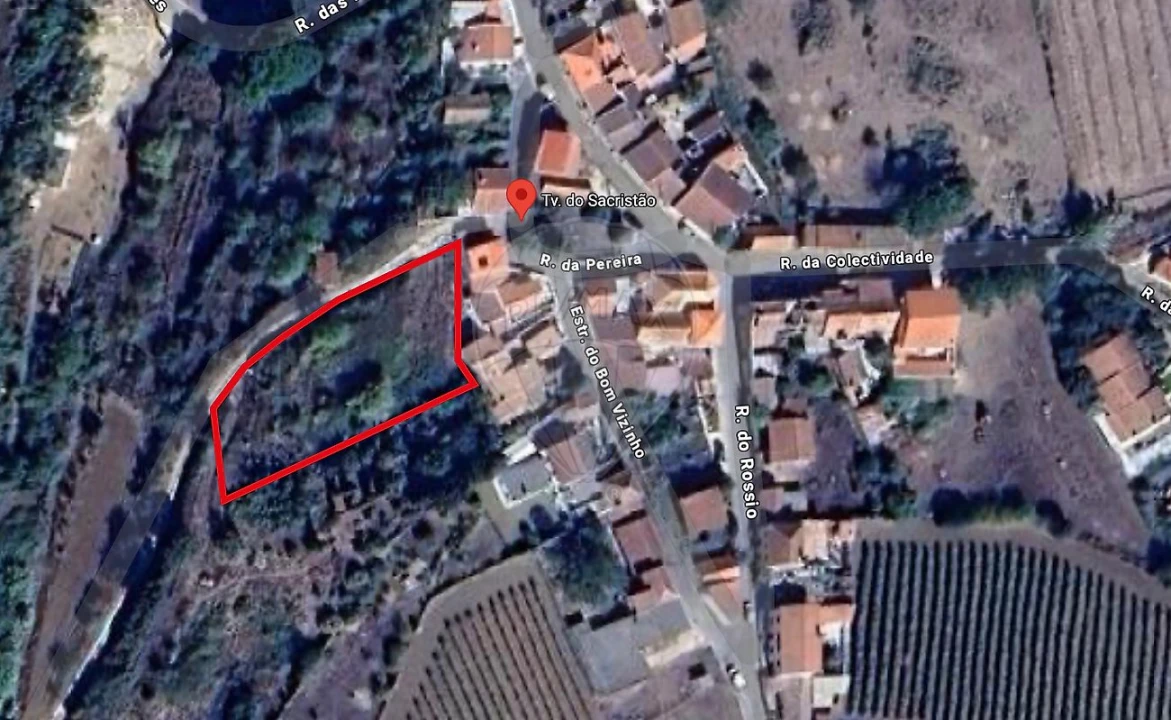 Terreno para Venda em Ribafria e Pereiro de Palhacana Foto 1