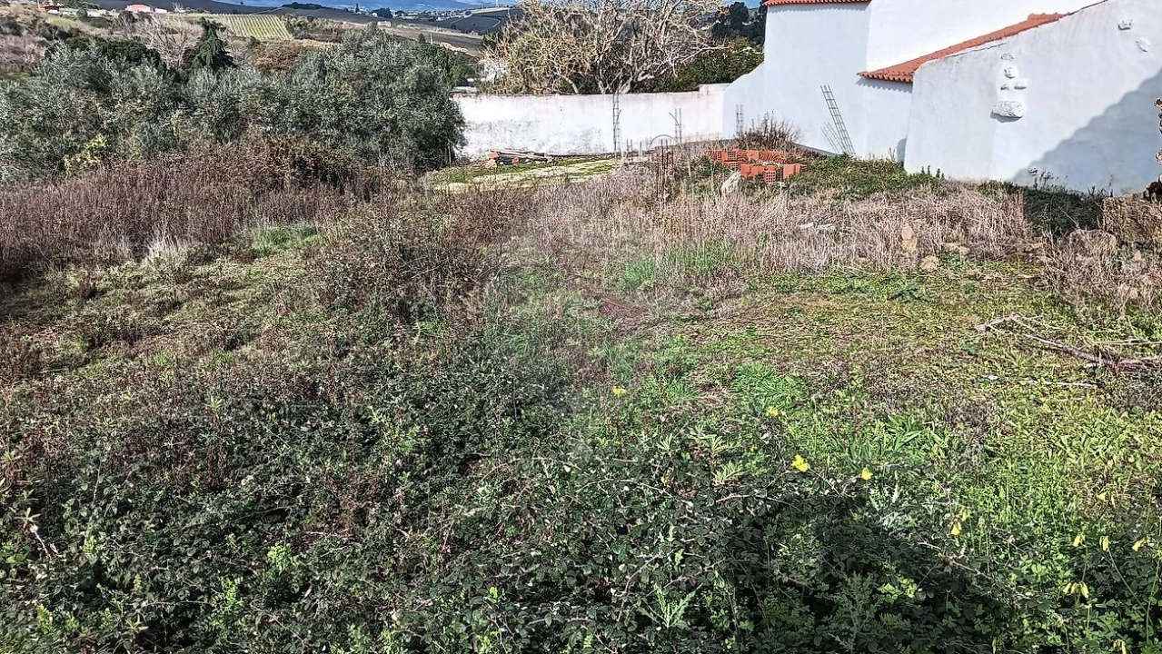 Terreno para Venda em Ribafria e Pereiro de Palhacana Foto 13