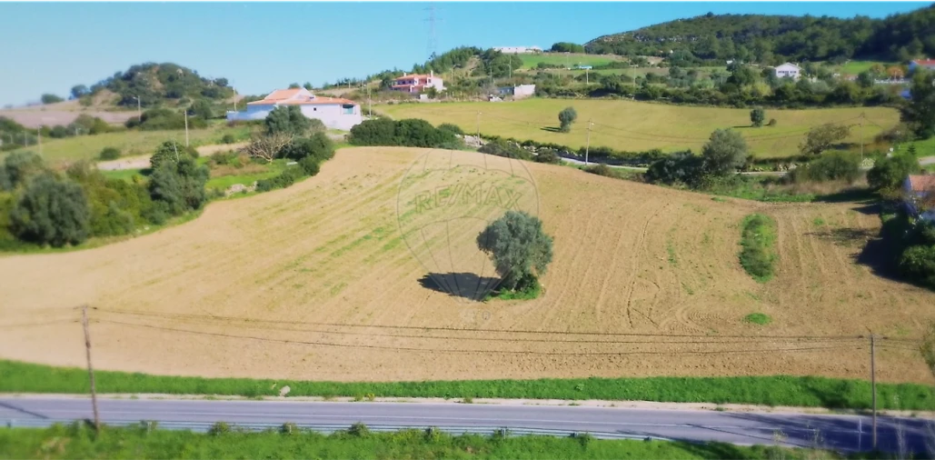Terreno para Venda em Alhandra, São João dos Montes e Calhandriz Foto 3