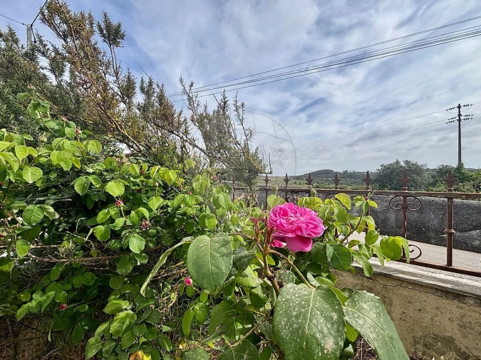 Moradia T3 para Venda em Sapataria Foto 39