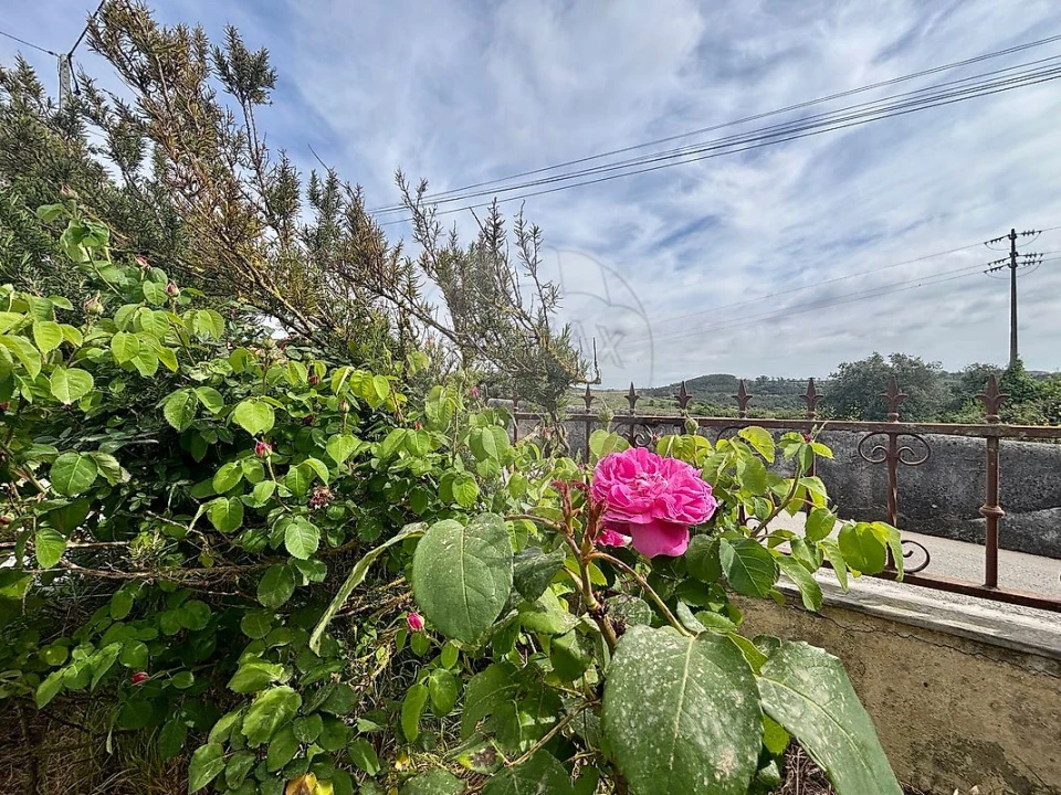 Moradia T3 para Venda em Sapataria Foto 39