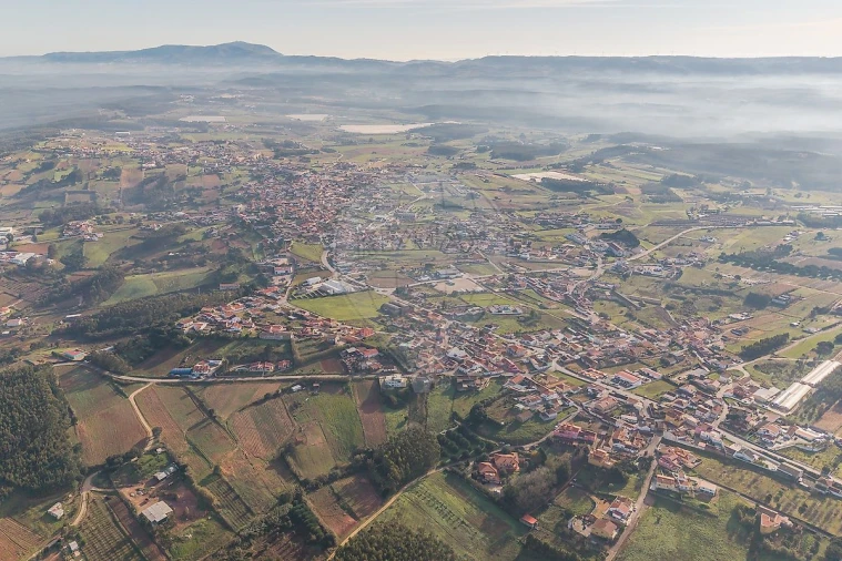 Terreno para Venda em Miragaia e Marteleira Foto 8