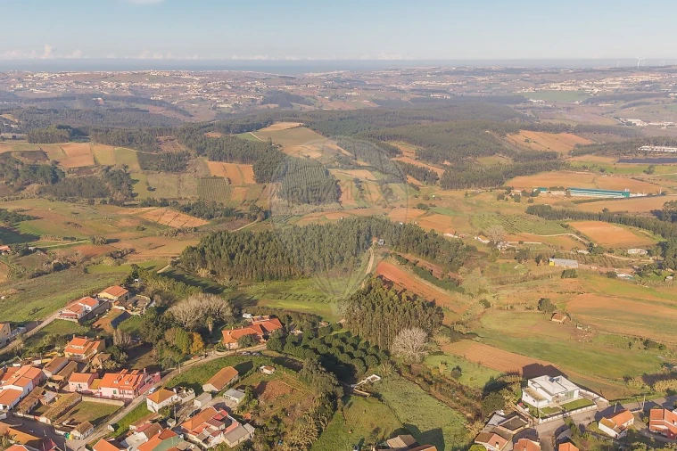 Terreno para Venda em Miragaia e Marteleira Foto 5