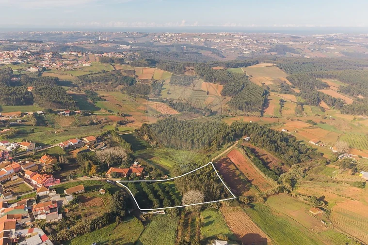 Terreno para Venda em Miragaia e Marteleira Foto 9
