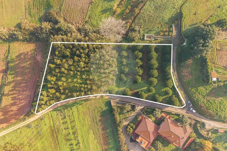 Terreno para Venda em Miragaia e Marteleira Foto 6