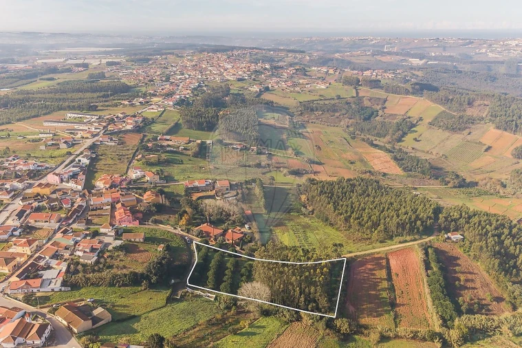 Terreno para Venda em Miragaia e Marteleira Foto 10