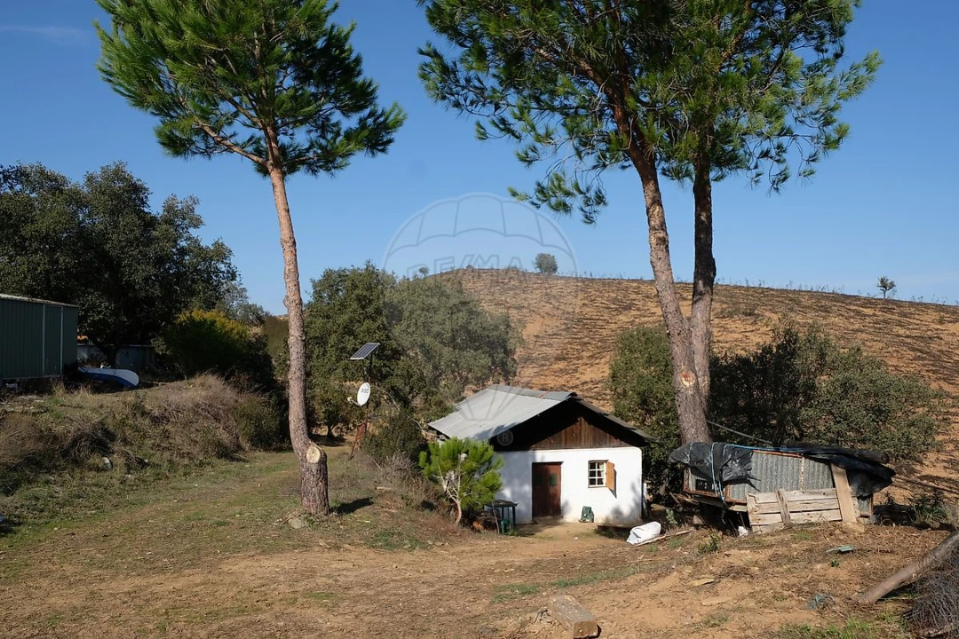 Moradia T2 para Venda em São Martinho das Amoreiras Foto 37