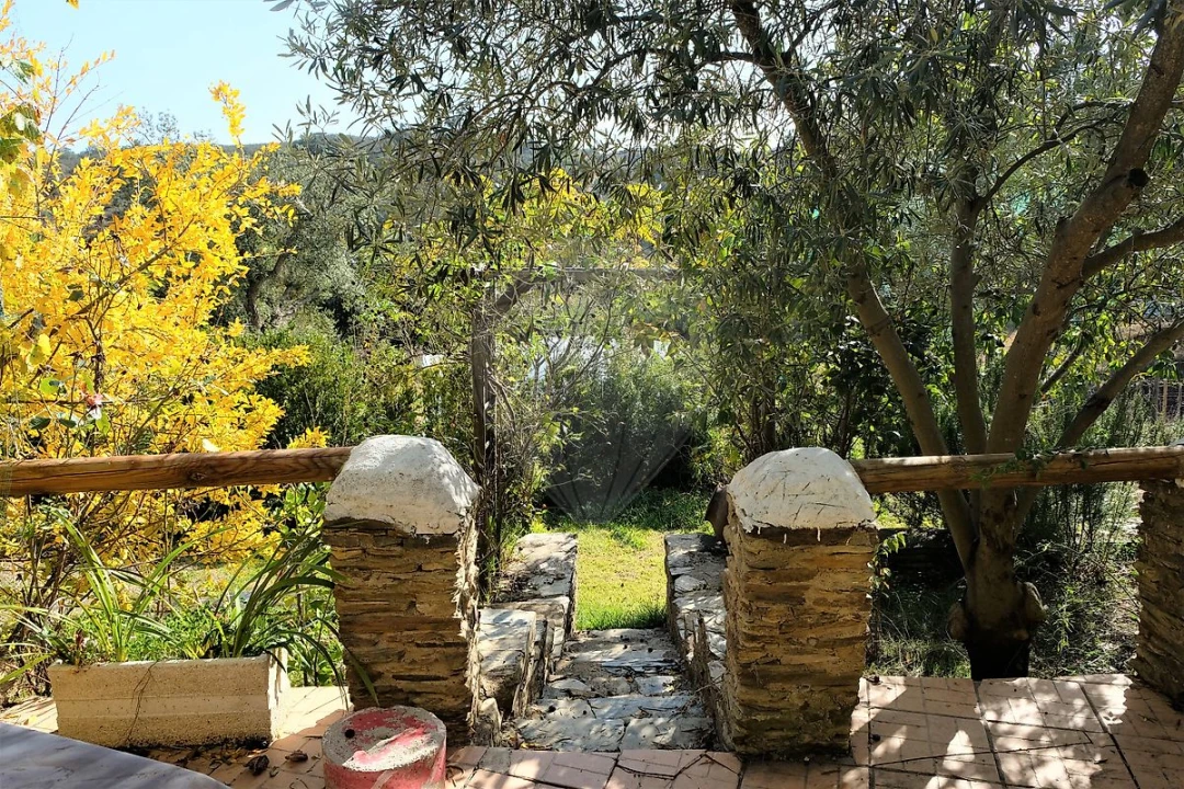 Moradia T2 para Venda em São Martinho das Amoreiras Foto 15