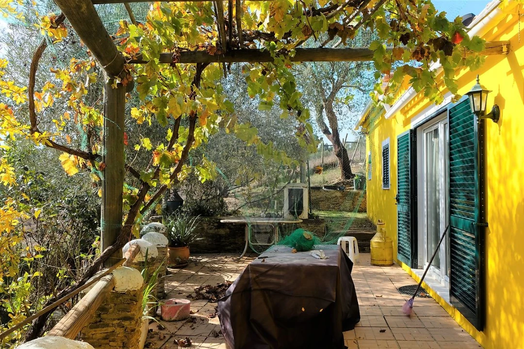 Moradia T2 para Venda em São Martinho das Amoreiras Foto 19