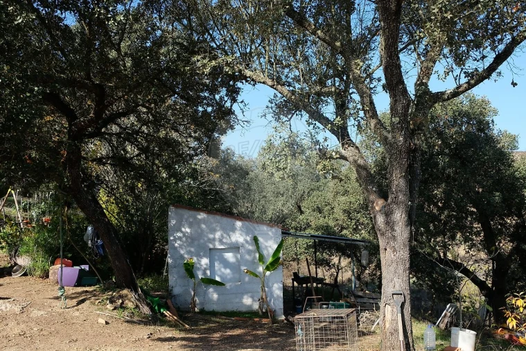 Moradia T2 para Venda em São Martinho das Amoreiras Foto 11