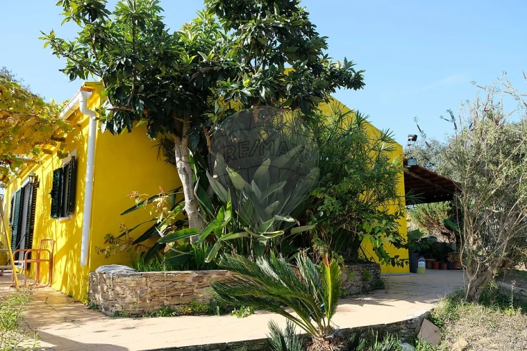 Moradia T2 para Venda em São Martinho das Amoreiras Foto 33