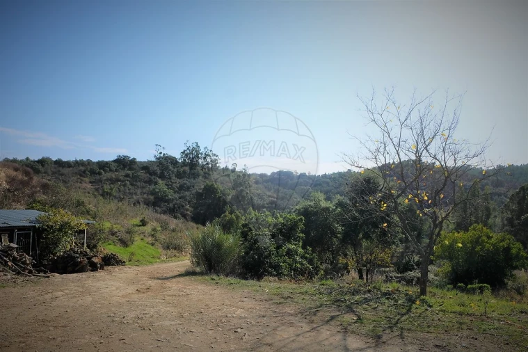 Moradia T2 para Venda em São Martinho das Amoreiras Foto 34