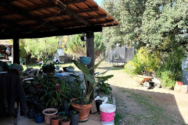 Moradia T2 para Venda em São Martinho das Amoreiras Foto 16