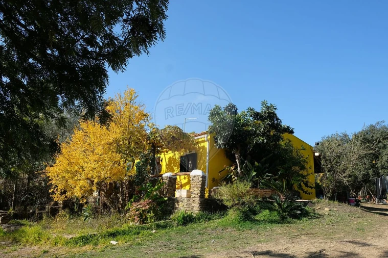 Moradia T2 para Venda em São Martinho das Amoreiras Foto 5