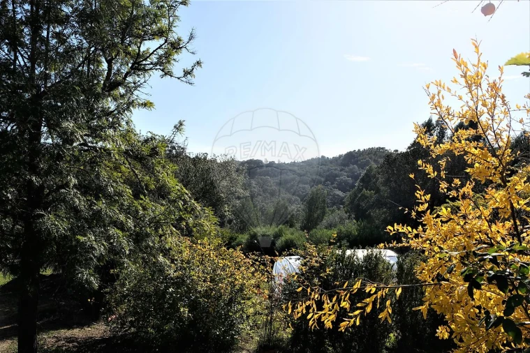 Moradia T2 para Venda em São Martinho das Amoreiras Foto 17