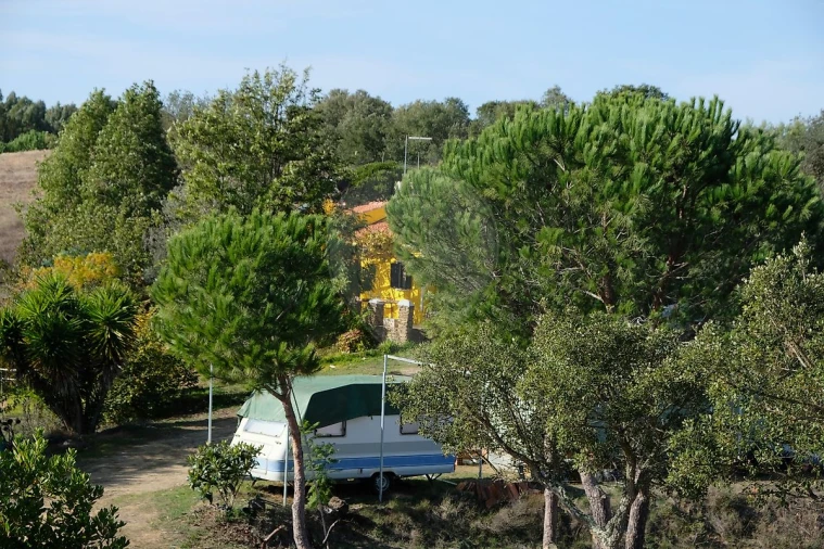 Moradia T2 para Venda em São Martinho das Amoreiras Foto 39