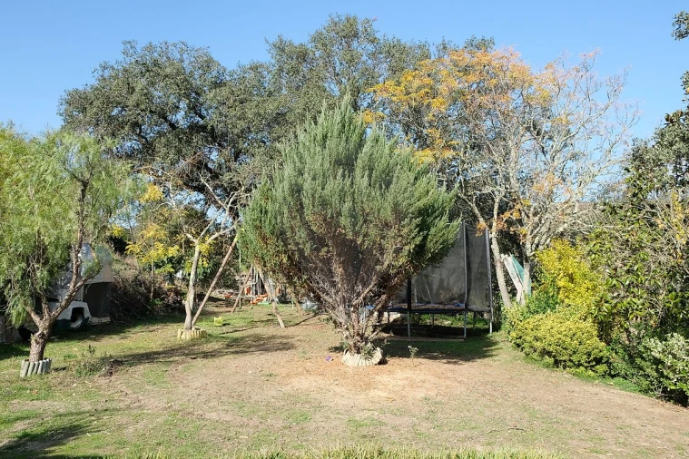 Moradia T2 para Venda em São Martinho das Amoreiras Foto 22