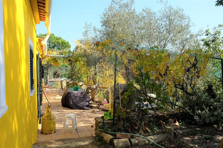 Moradia T2 para Venda em São Martinho das Amoreiras Foto 12