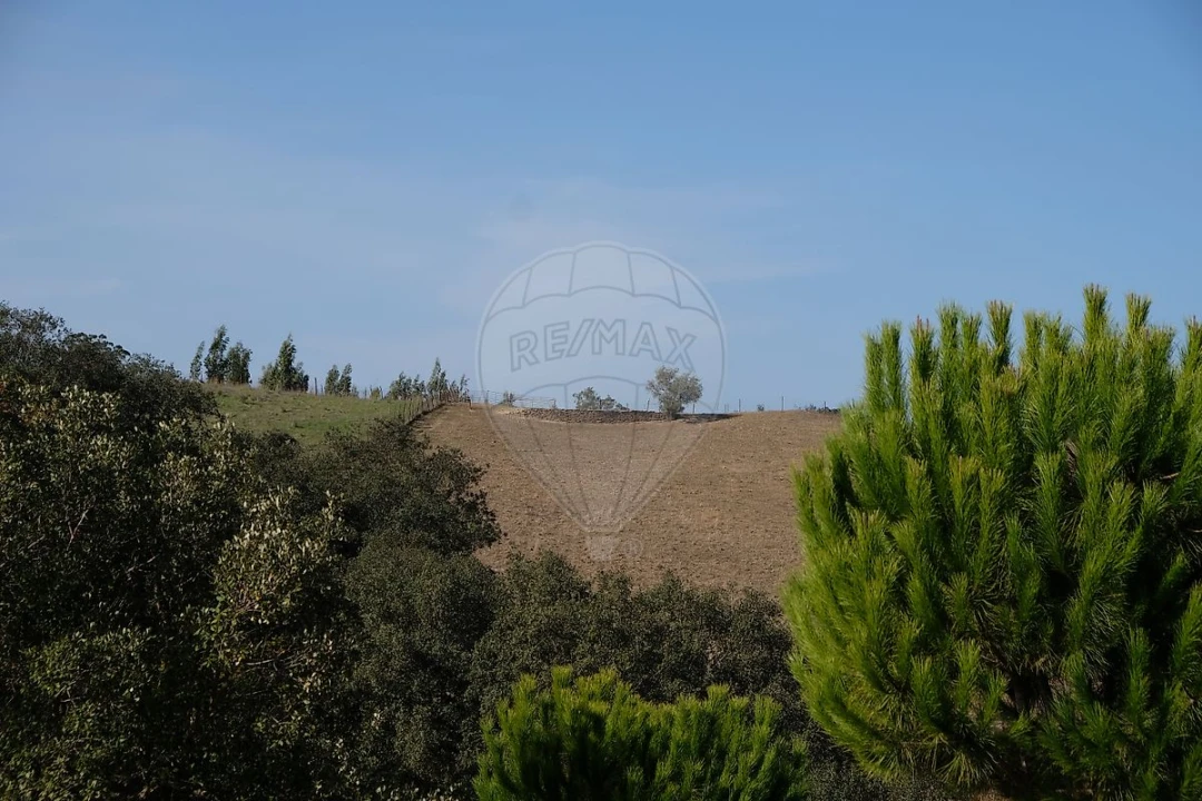 Moradia T2 para Venda em São Martinho das Amoreiras Foto 42