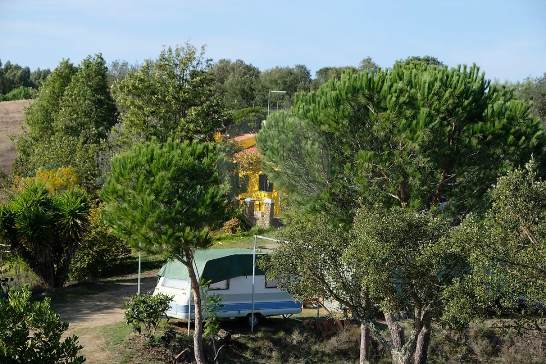 Moradia T2 para Venda em São Martinho das Amoreiras Foto 39