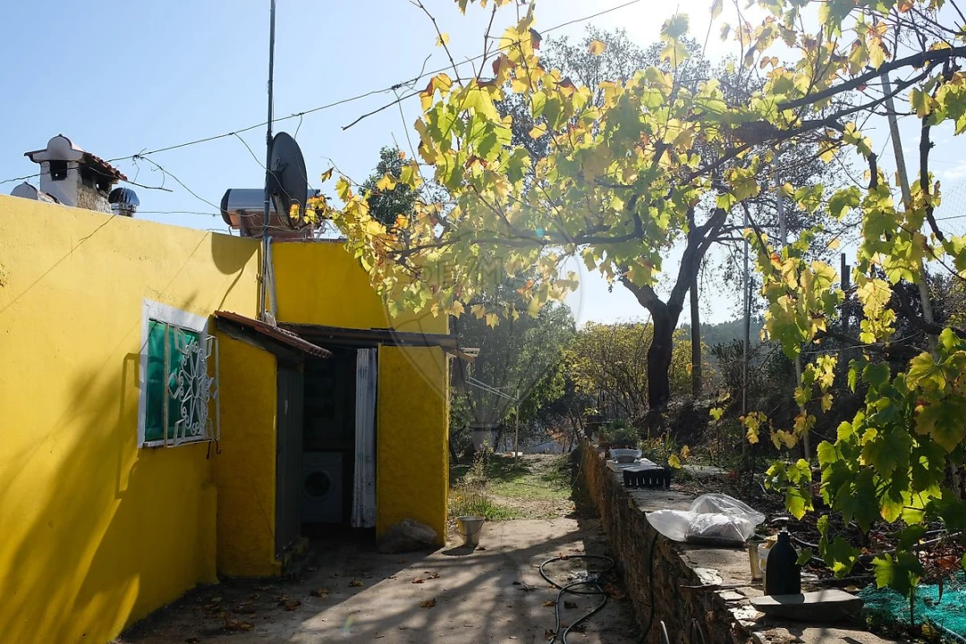 Moradia T2 para Venda em São Martinho das Amoreiras Foto 14
