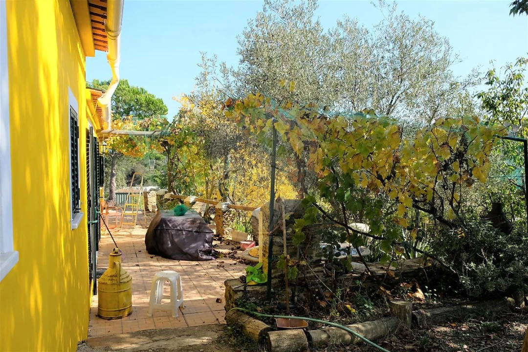 Moradia T2 para Venda em São Martinho das Amoreiras Foto 12