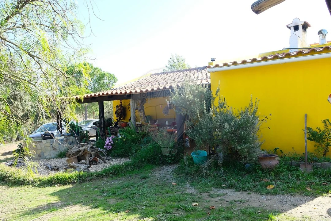 Moradia T2 para Venda em São Martinho das Amoreiras Foto 8