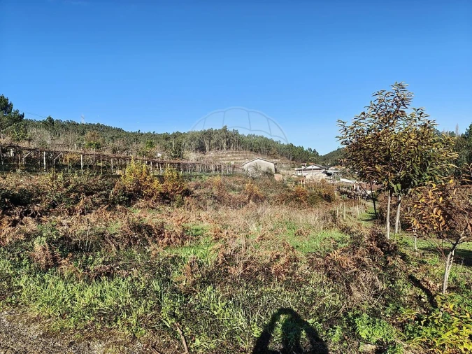 Terreno para Venda em Ossela Foto 6