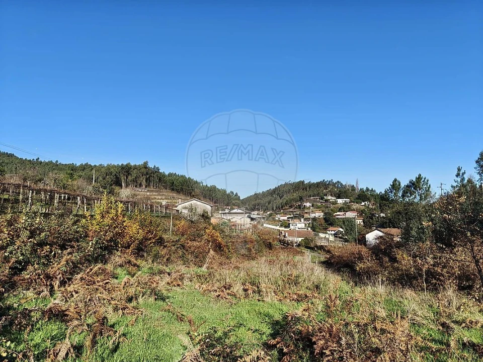 Terreno para Venda em Ossela Foto 4