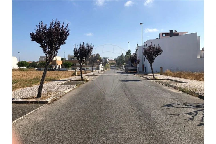 Terreno para Venda em Cartaxo e Vale da Pinta Foto 3