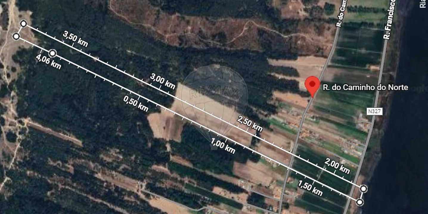 Quinta T0 para Venda em Torreira Foto 9