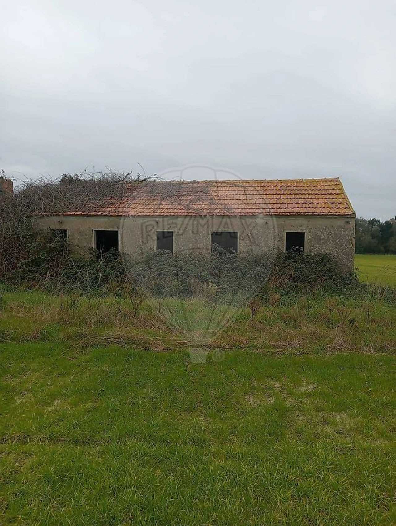 Quinta T0 para Venda em Torreira Foto 6