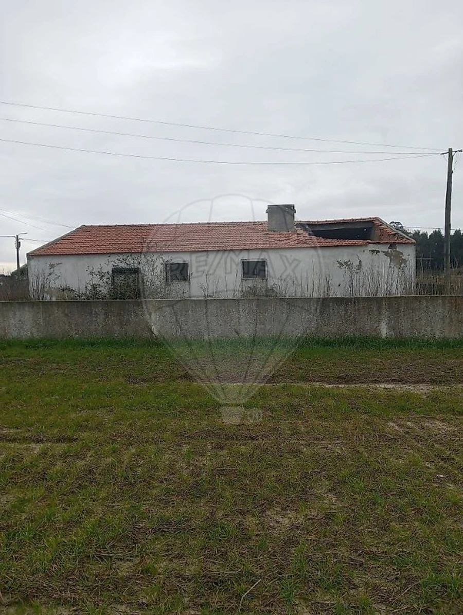 Quinta T0 para Venda em Torreira Foto 2