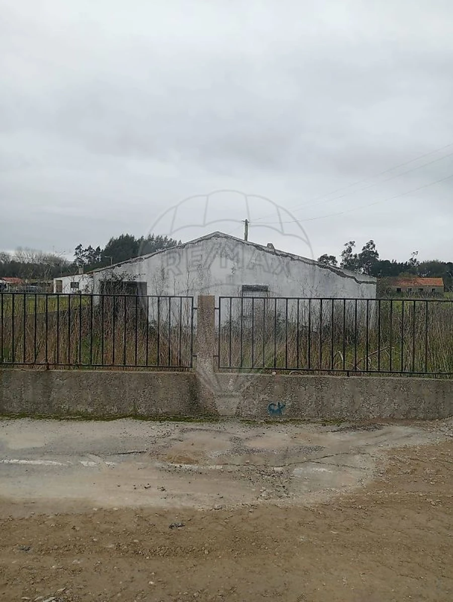 Quinta T0 para Venda em Torreira Foto 4