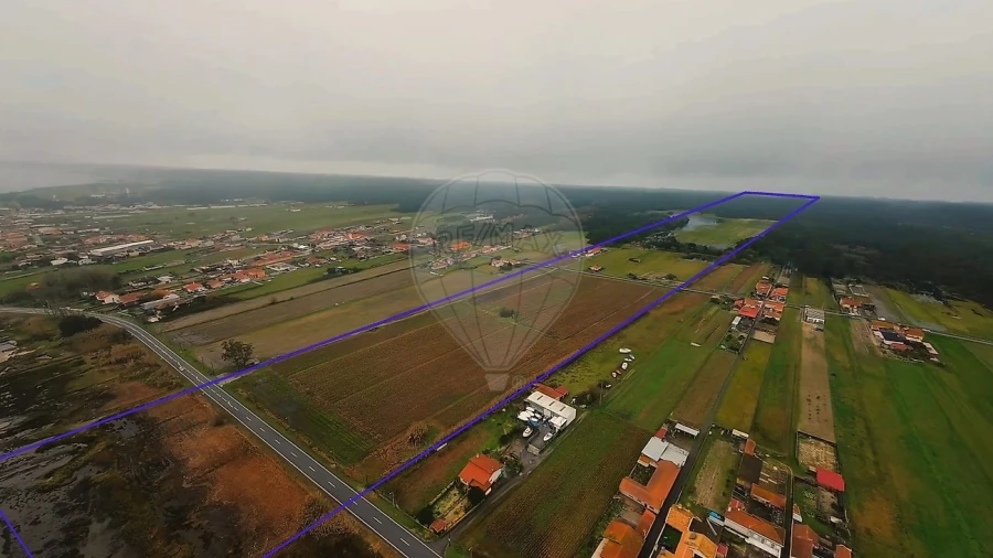 Quinta T0 para Venda em Torreira Foto 10