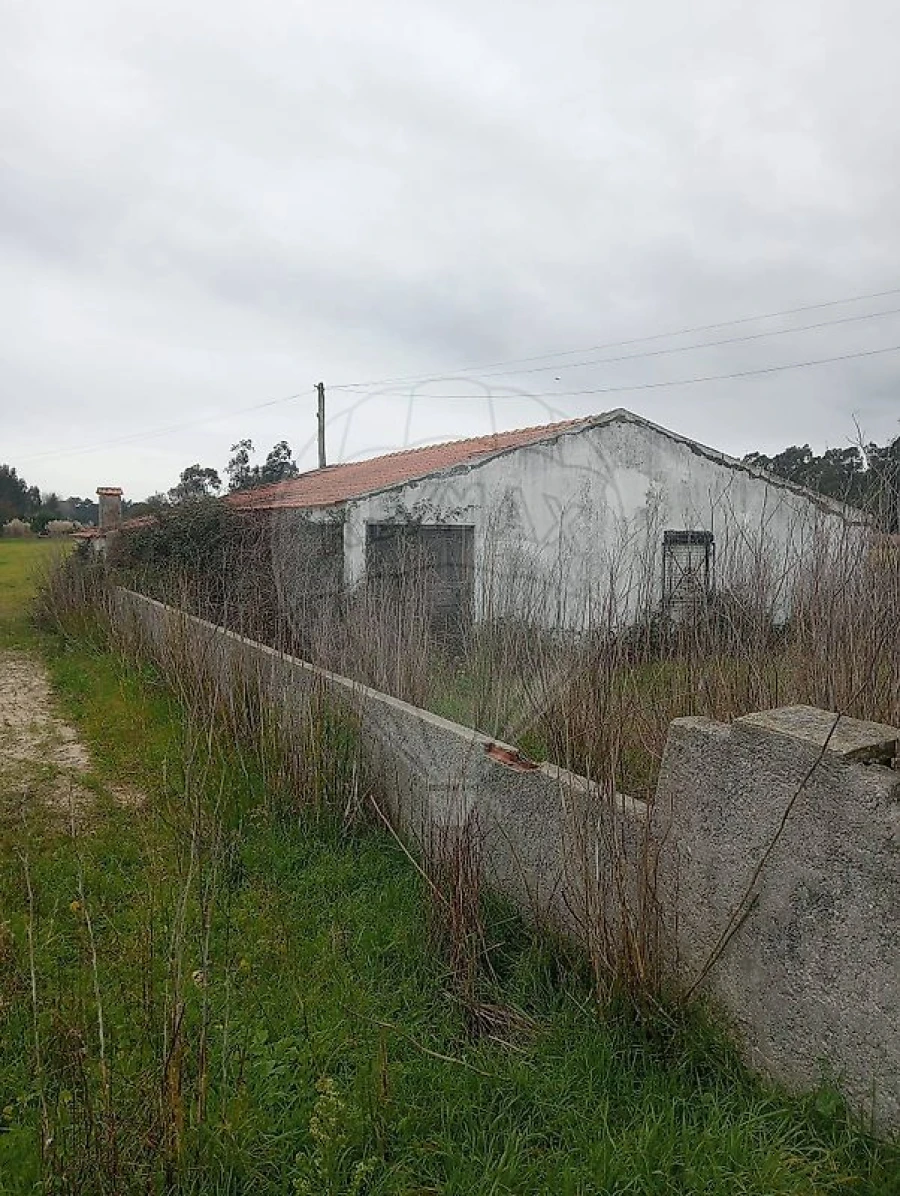 Quinta T0 para Venda em Torreira Foto 3