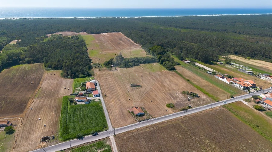 Quinta T0 para Venda em Torreira Foto 12