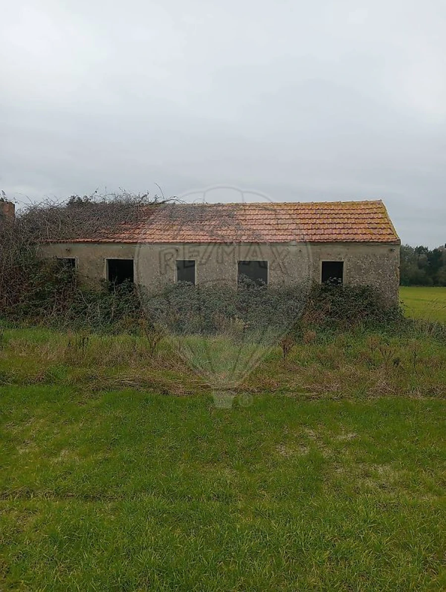 Quinta T0 para Venda em Torreira Foto 6