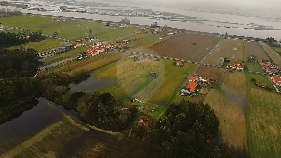 Quinta T0 para Venda em Torreira Foto 12