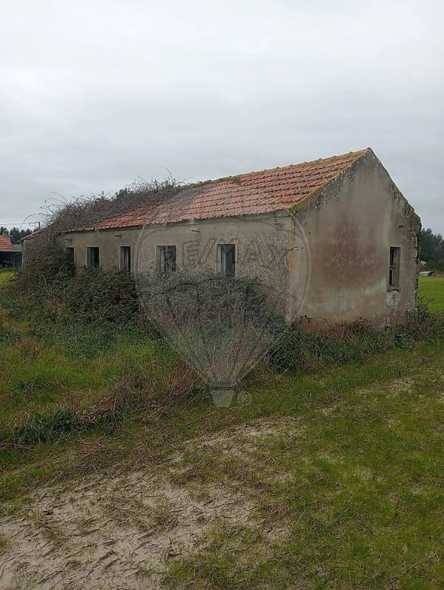 Quinta T0 para Venda em Torreira Foto 5