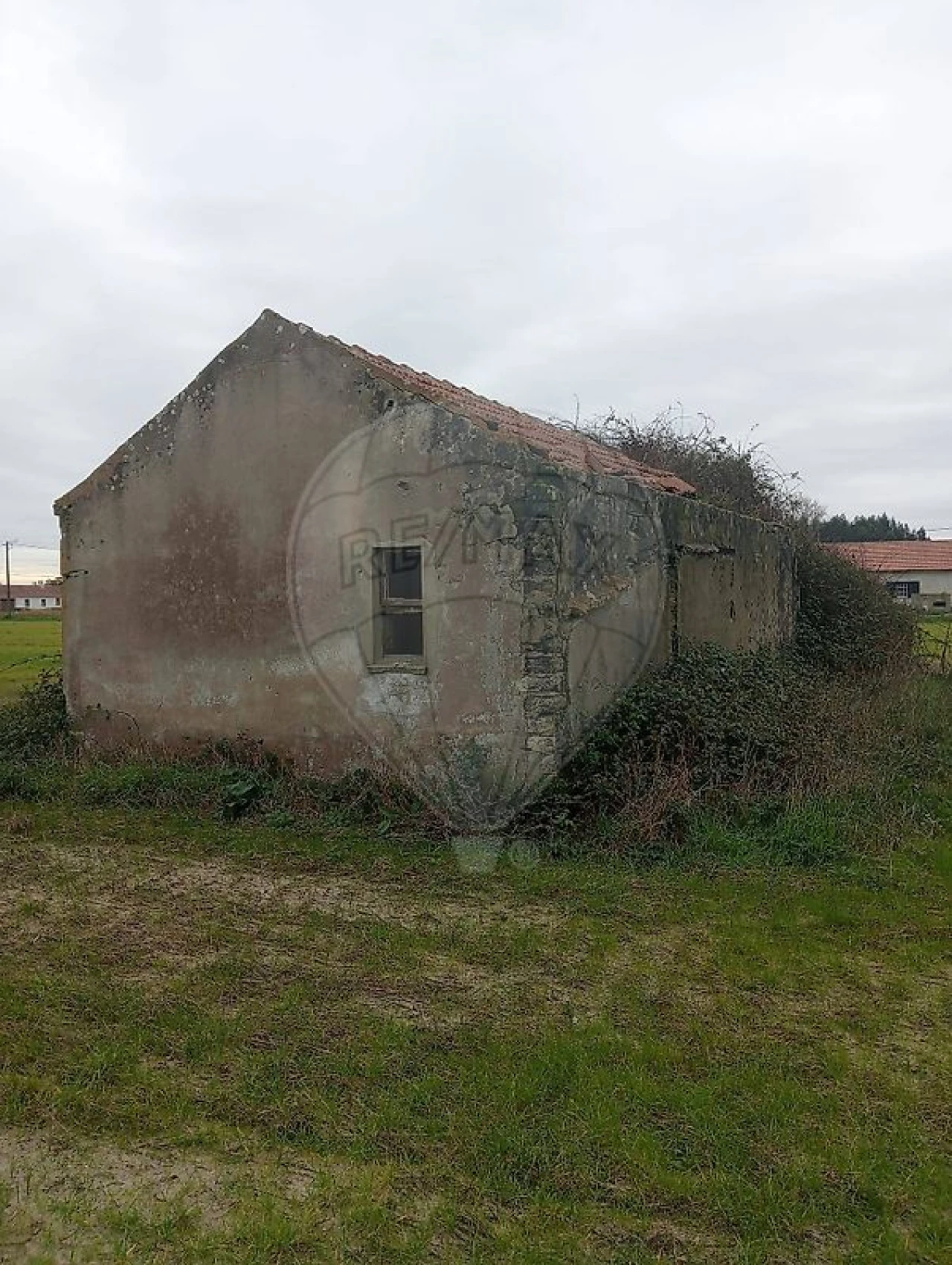 Quinta T0 para Venda em Torreira Foto 7