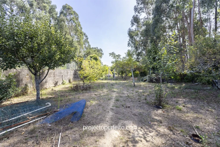 Moradia T4 para Venda em Anta e Guetim Foto 10