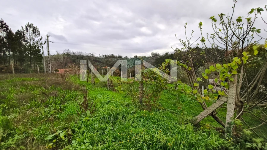 Terreno para Venda em Foz do Sousa e Covelo Foto 36