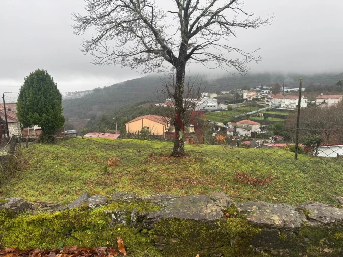 Terreno para Venda em Idães Foto 2