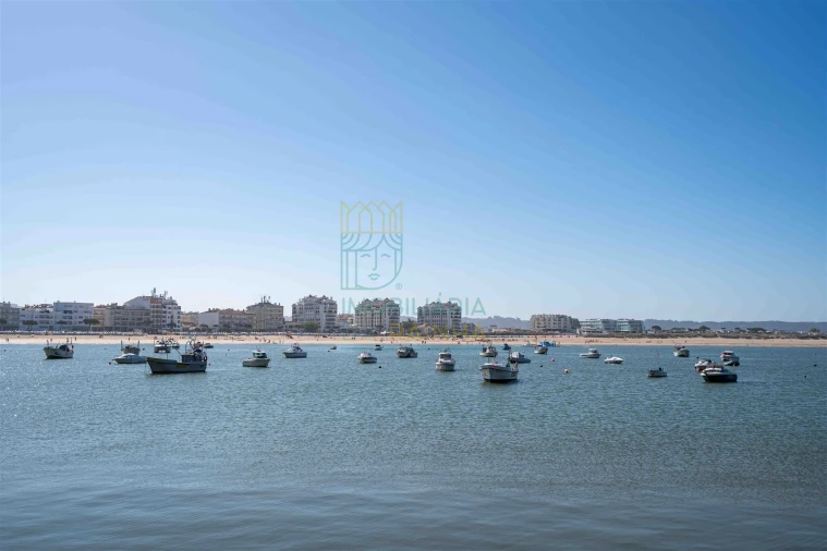 Moradia T3 para Venda em Tornada e Salir do Porto Foto 21