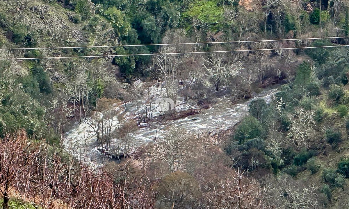 Quinta T0 para Venda em Távora e Pereiro Foto 11