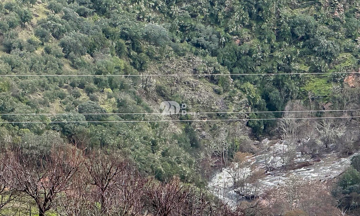 Quinta T0 para Venda em Távora e Pereiro Foto 12